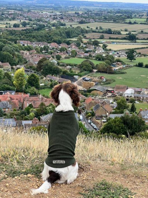 Spaniel Cottage With Views Of Ham Hill, Stoke Sub Hamdon Марток Экстерьер фото