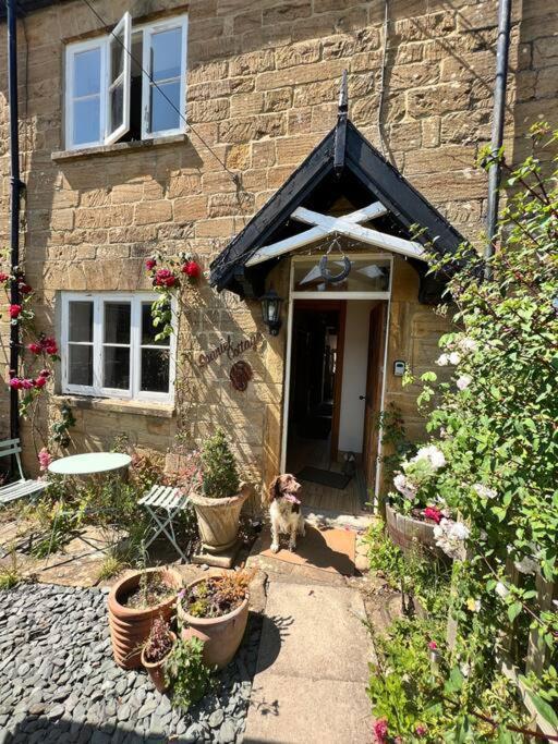 Spaniel Cottage With Views Of Ham Hill, Stoke Sub Hamdon Марток Экстерьер фото