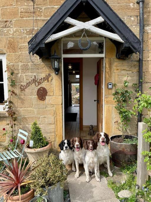 Spaniel Cottage With Views Of Ham Hill, Stoke Sub Hamdon Марток Экстерьер фото